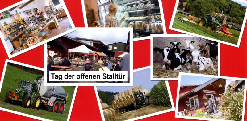 Tag der offenen Stalltür 2024 auf dem Weidenhof Neudorf