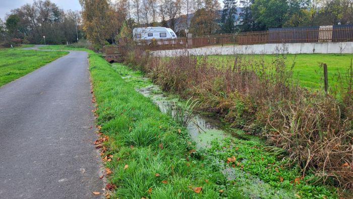 Zugewucherter Entwässerungsgraben am südlichen Ortsrand von Neudorf (Okt. 2024)