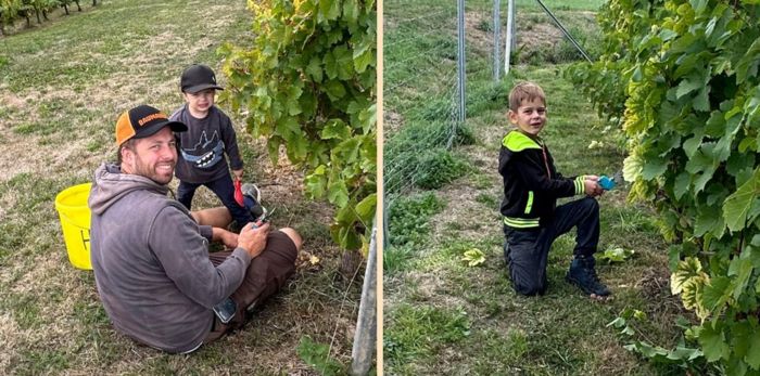 Kinder bei der Weinlese